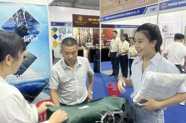 Dingkun-New-Material-Co.-Ltd-17