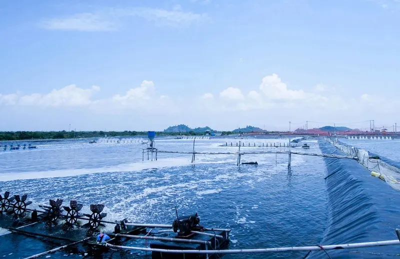 hdpe geomembrane pond liner​