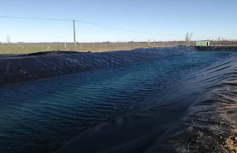 ​durability of hdpe geomembranes