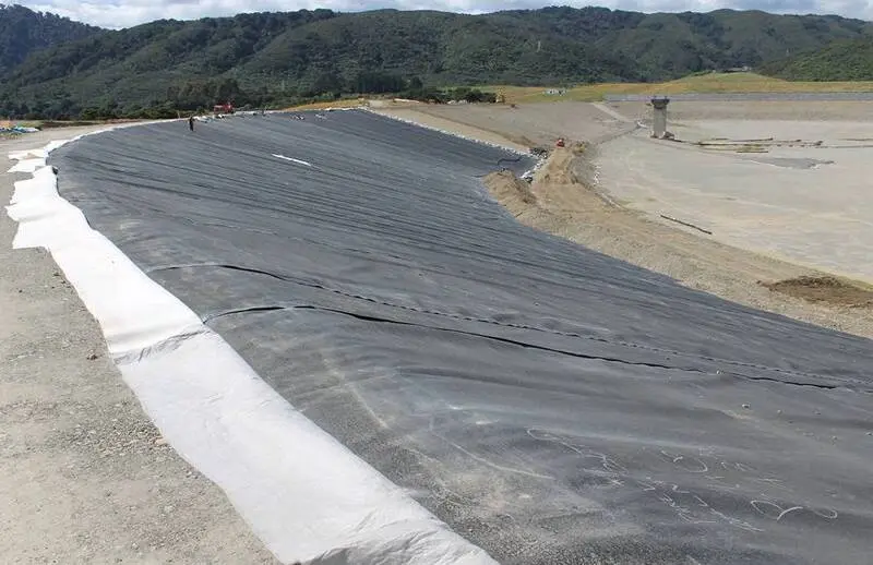 Geomembrana HDPE Precio-3